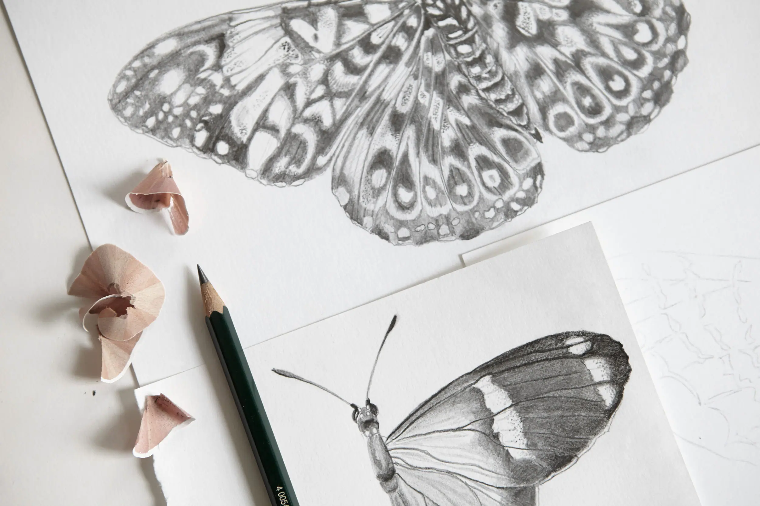 40 Beautiful Simple Butterfly Drawings In Pencil - Hobby Lesson-saigonsouth.com.vn